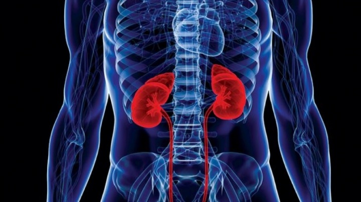 CHRONIC KIDNEY DISEASE STEMCELL TREATMENT