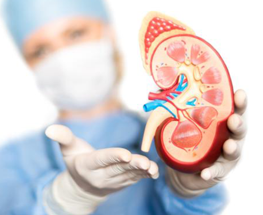chronic kidney disease, best ckd treatment in india, best treatment for kidney in india