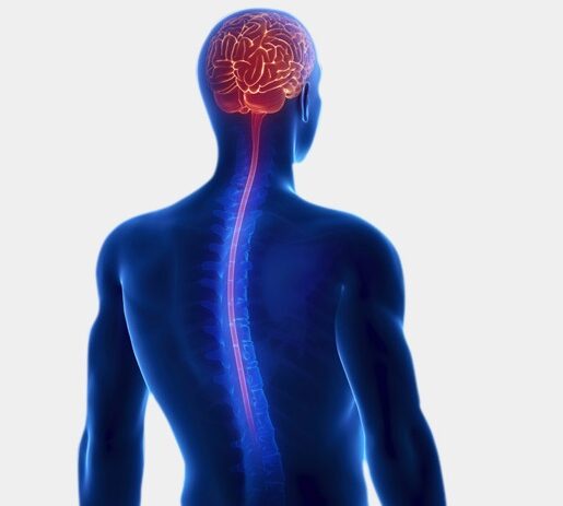 Neuro-big Best neurosurgery in India