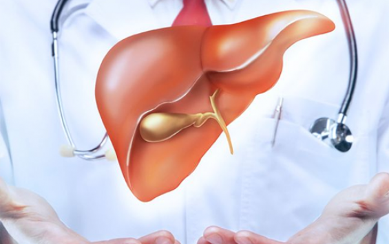 liver cancer specialists, best doctor for liver cancer in india, What is Liver and its primary functions