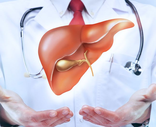 what is liver, liver treatment in india