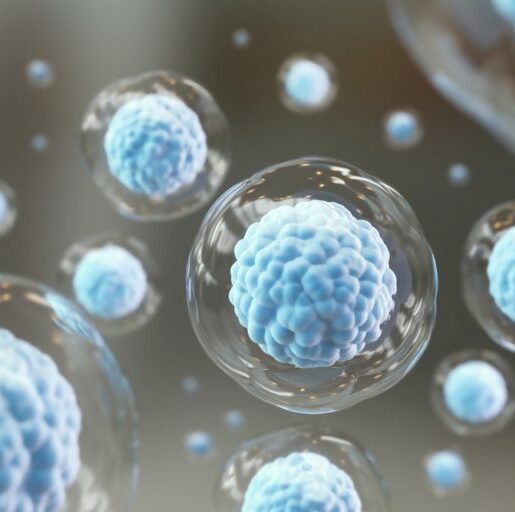 stem cell research controversy stem cell therapy controversy, stem cell controversy, stem cell cure, stem cell research controversy