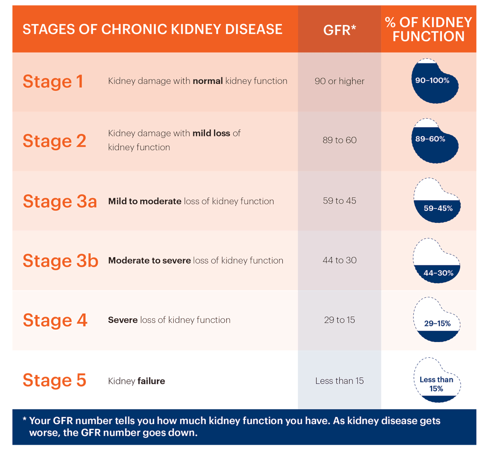 stages of chronic kidney disease,kidney ckd treatment, kidney failure treatment cost in india