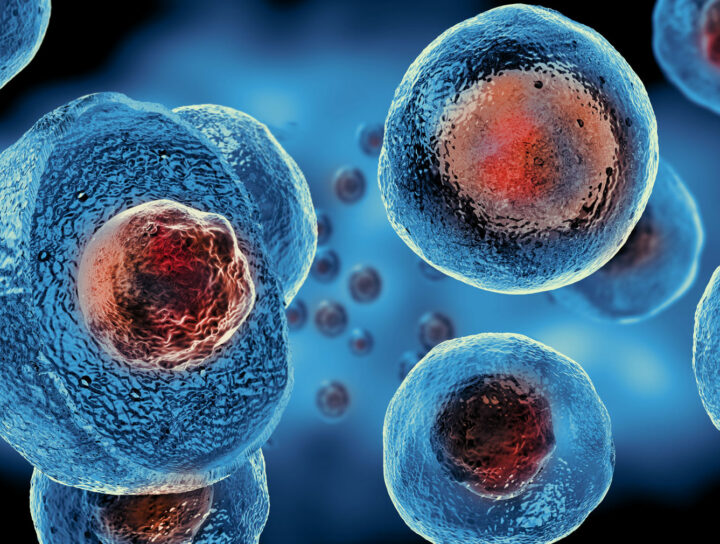 stem cell therapies questions