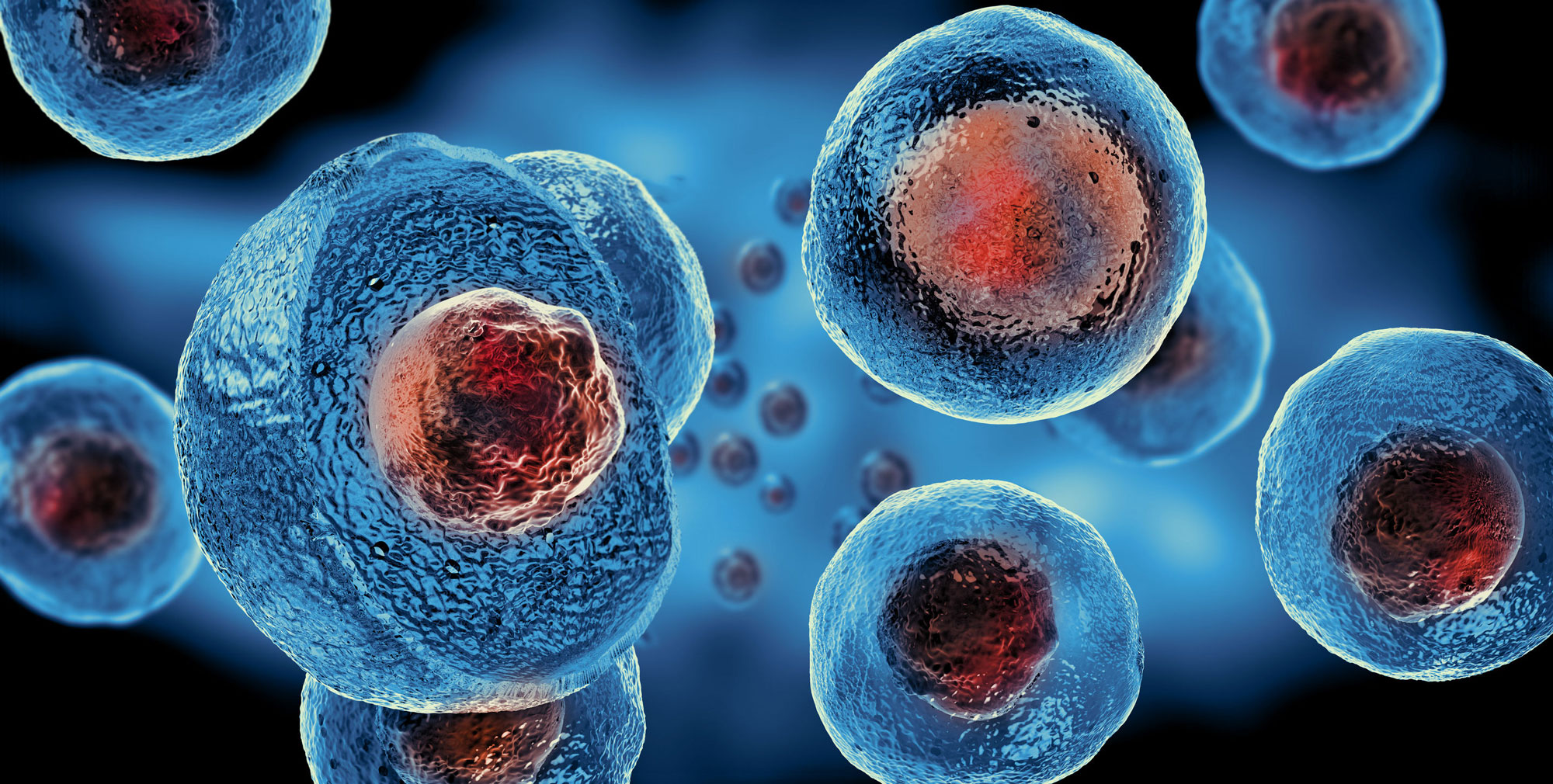 stem cell therapies questions