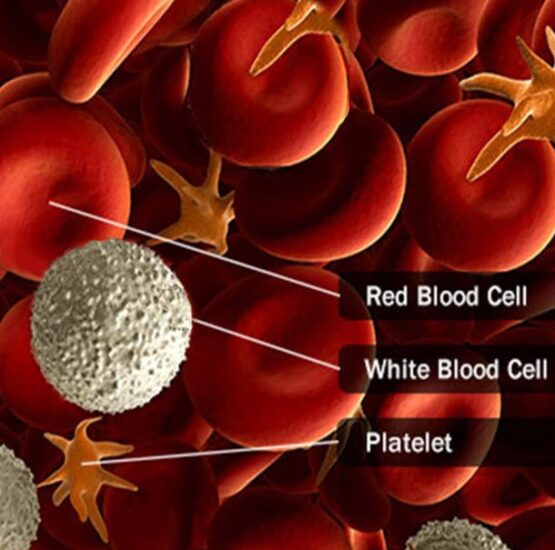 what is blood cancer disease