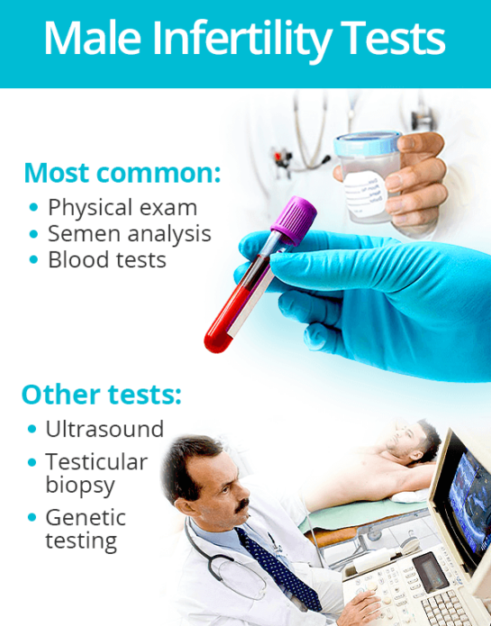 male infertility tests, stem cell therapy for male infertility, stem cell therapy for azoospermia in india