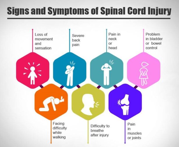 sign and symptoms of spinal cord injury, spinal cord treatment in india