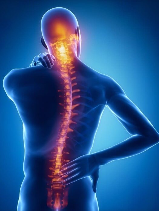 stem cell therapy for spinal cord injury in india, spinal cord injury treatment in india