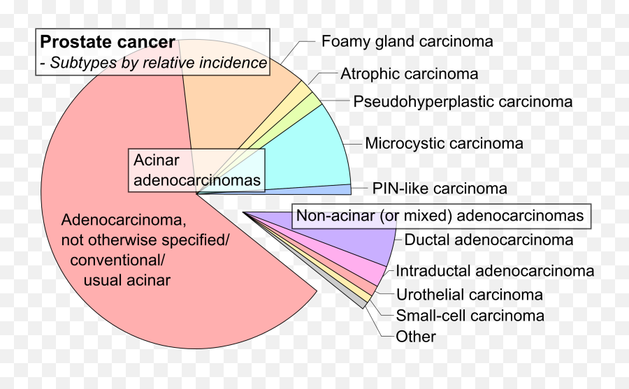 types of prostate cancer)