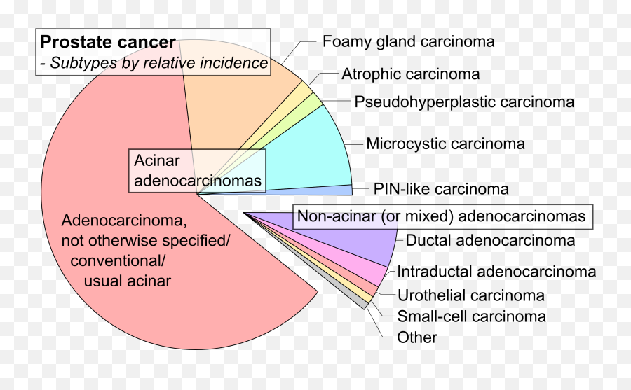 types of prostate cancer