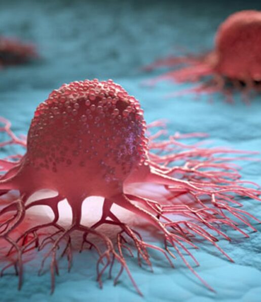 cancer cell what is cancer