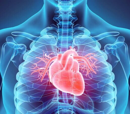 Everything about heart transplant