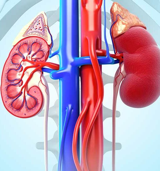 types of kidney cancer types of kidney cancer
