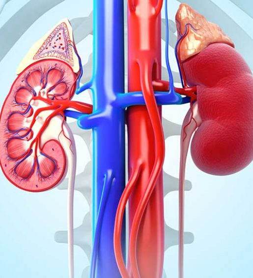 types of kidney cancer