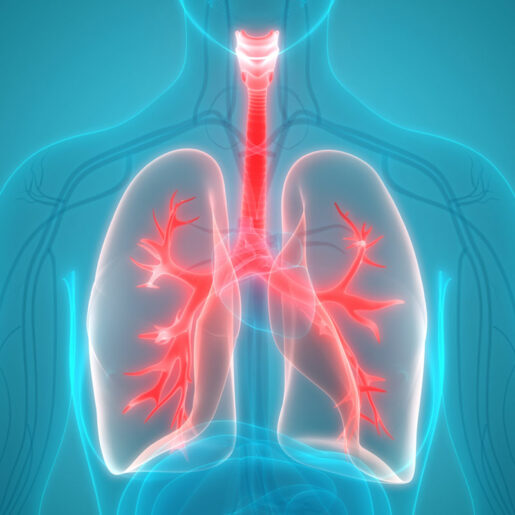 how lungs are transplanted