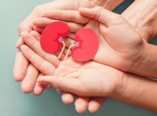 Advance kidney transplant in India, good kidney donor