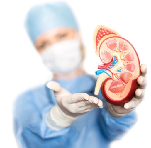 kidney transplant in India, best hospital for kidney transplant in India