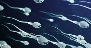 Kaunch beej powder Improves sperm quality and quantity