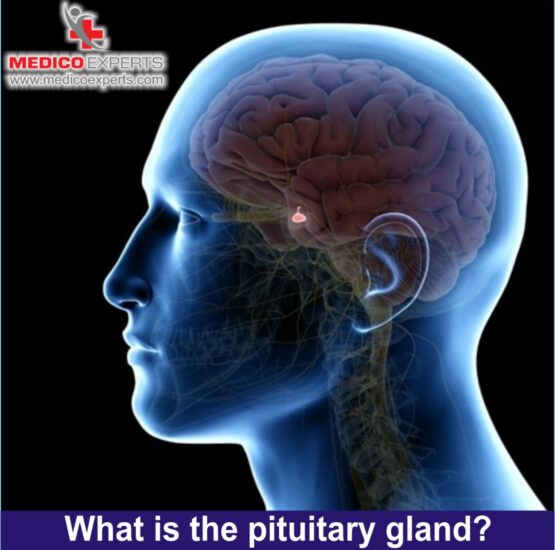 What is pituitary tumor