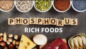 Phosphorus-rich foods