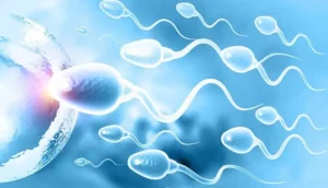 ReGain+ Ayurvedic Sex medicine