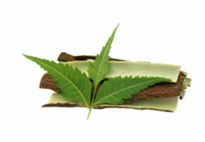 Silk-Cotton-face-pack-for-pimples-neem Silk-Cotton-face-pack-for-pimples-neem