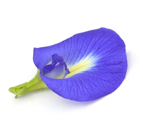 MedicoExperts Butterfly Pea anti-aging face pack