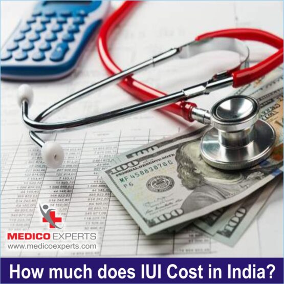 cost of iui treatment in india