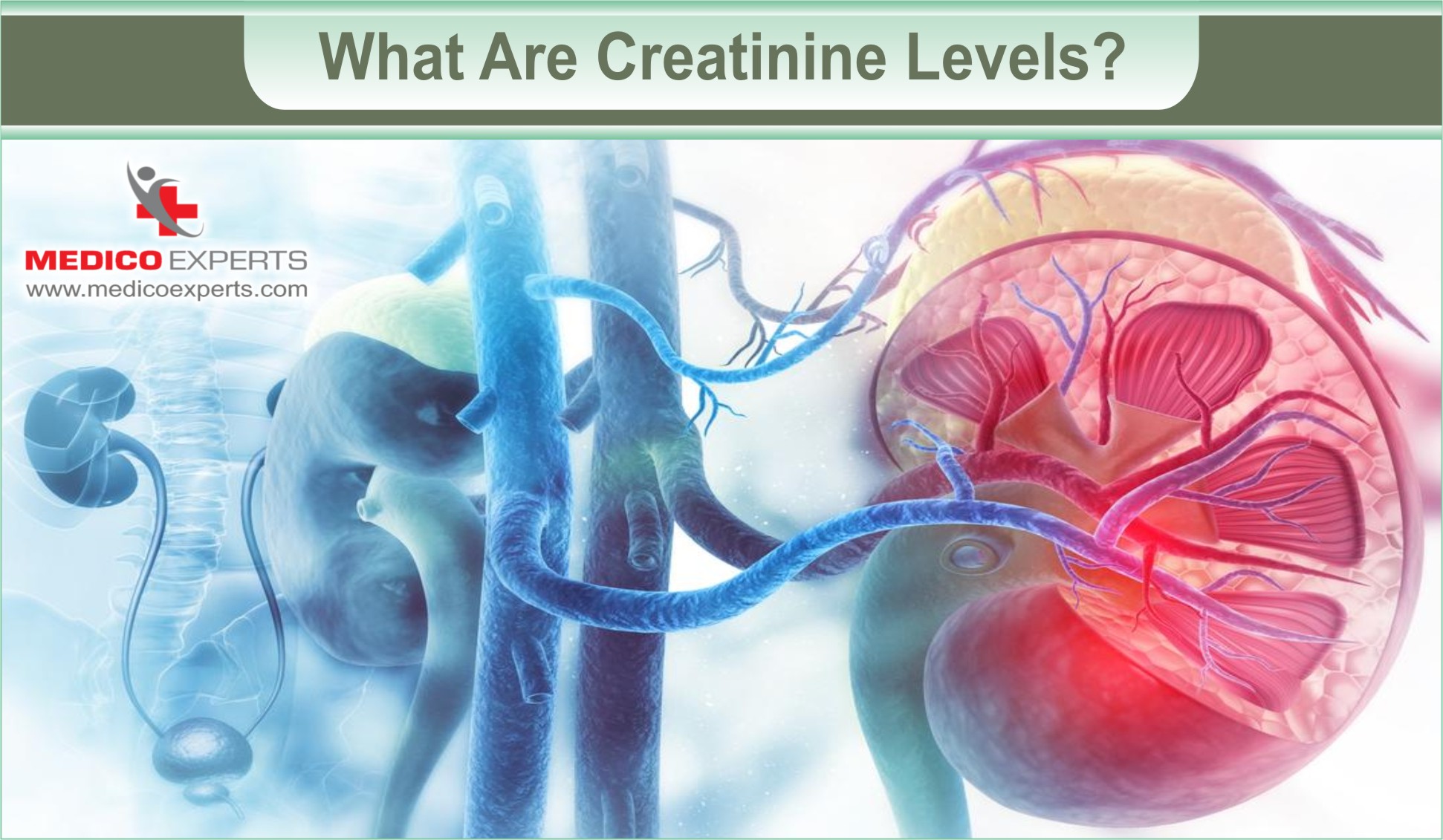 10 Fruits to Reduce Creatinine Level [Updated Oct 2023]