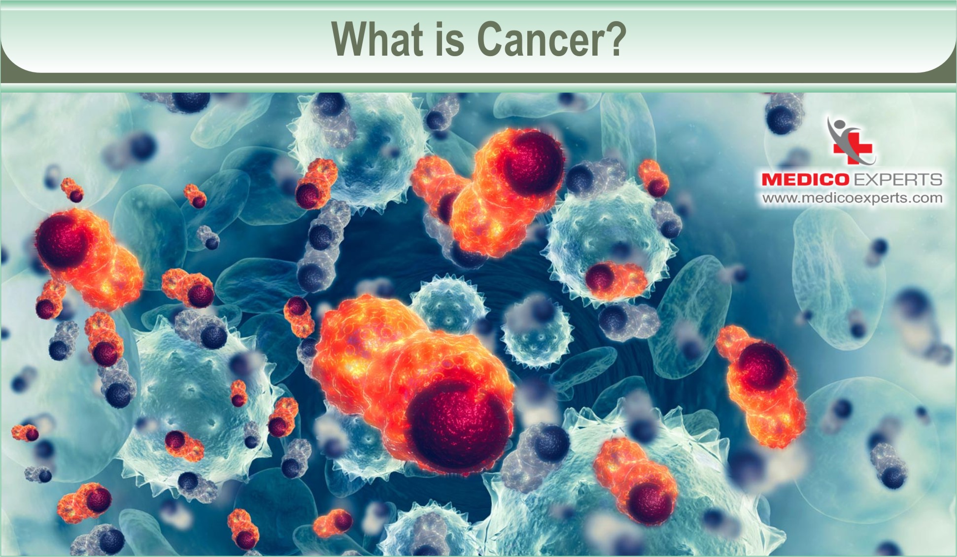 Can Cancer be Cured Permanently Learn the Truth