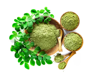 Moringa Powder