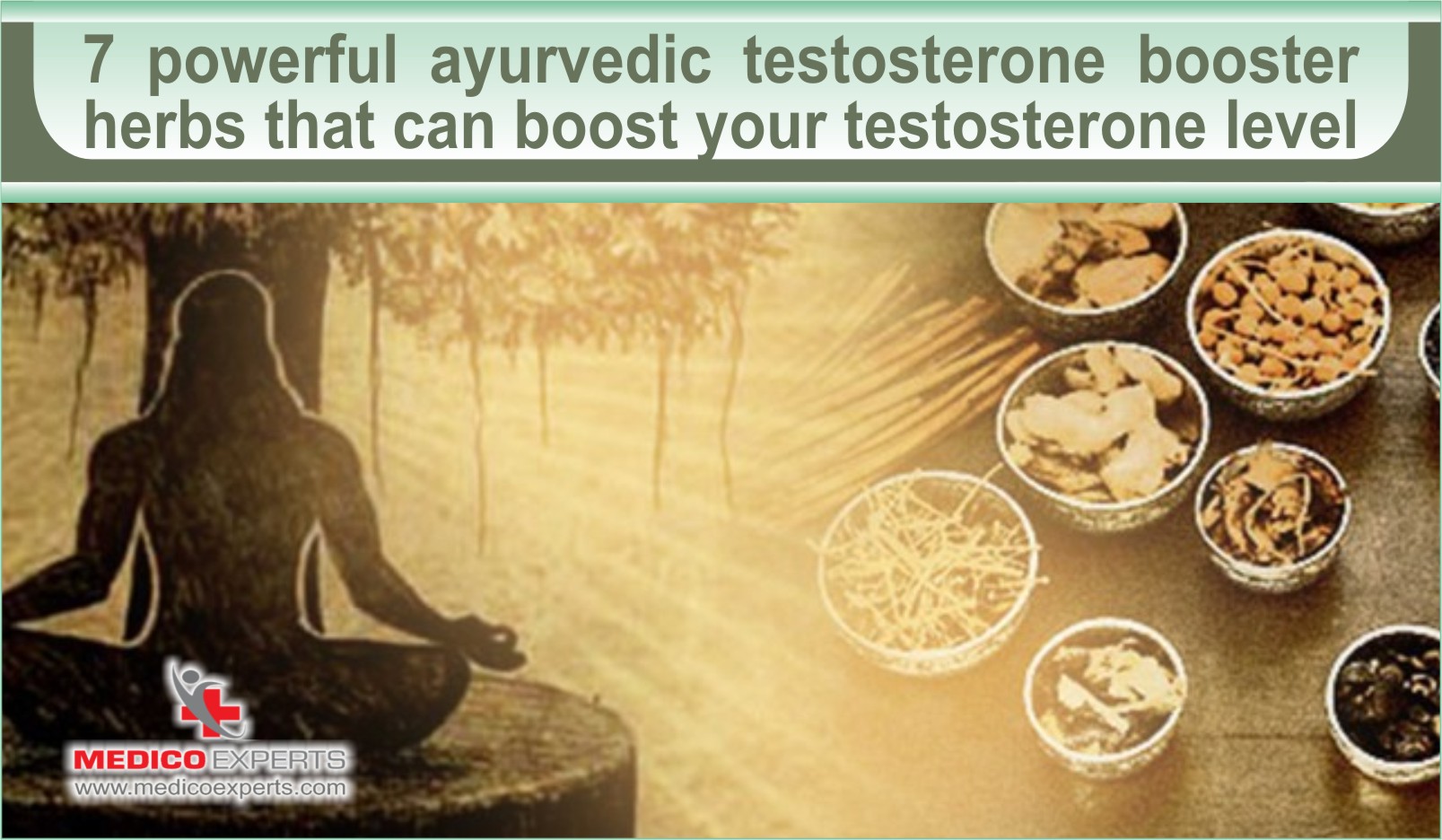 Regain your confidence with ayurvedic testosterone boosters