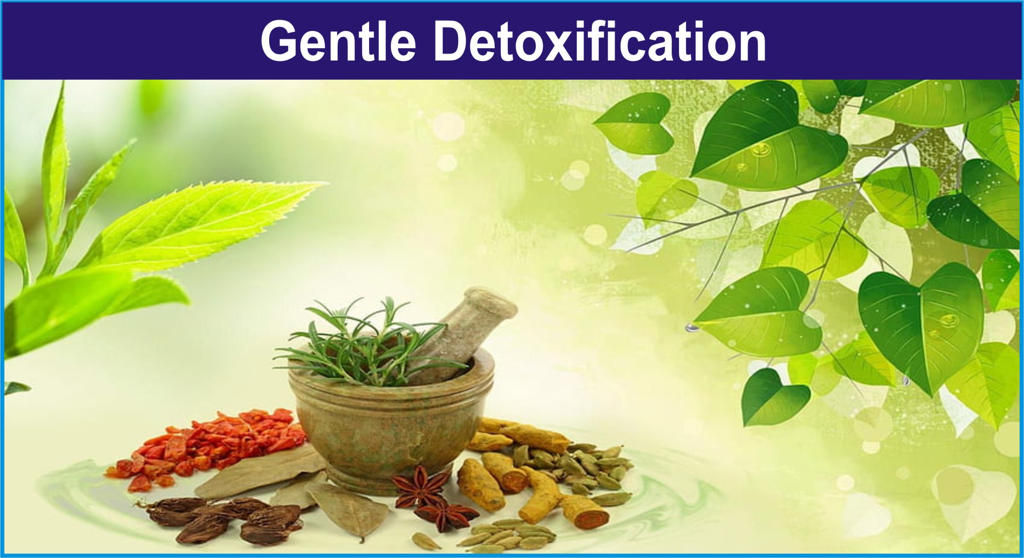 Gentle detoxification - ME Kidney Detox Kadha