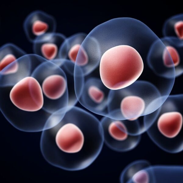 How stem cell therapy can help with ASD