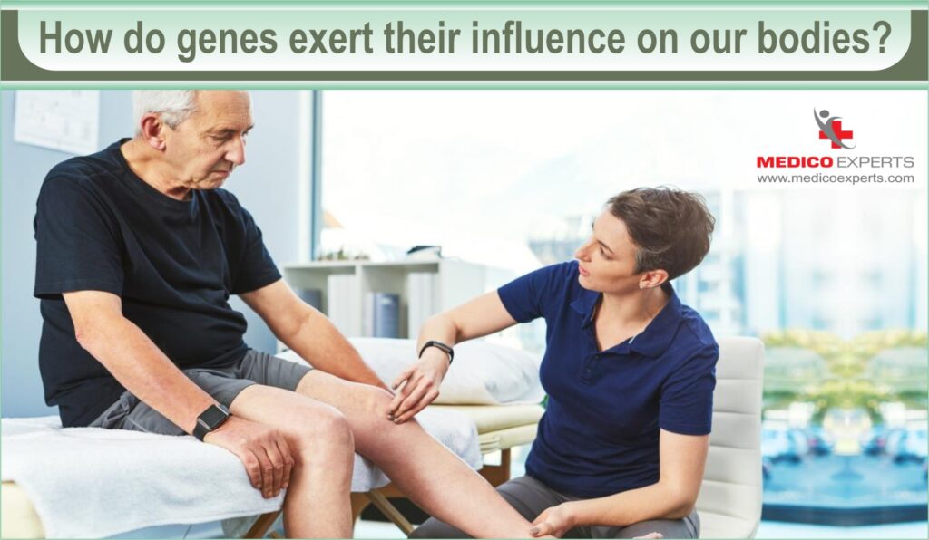How do genes exert their influence on our bodies?
