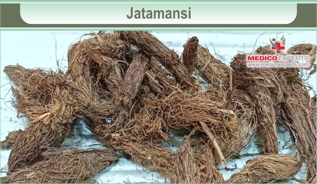 Jatamansi