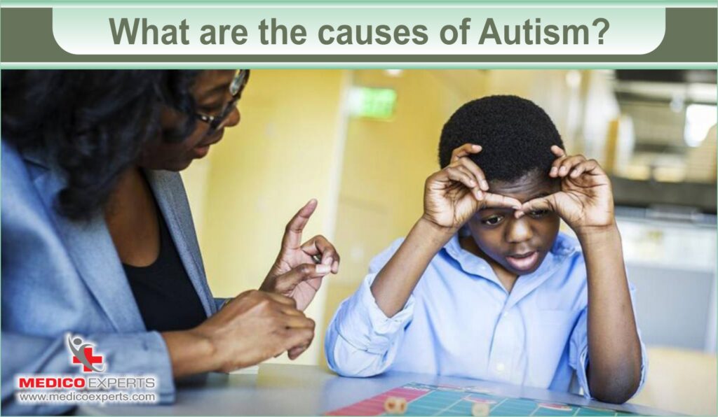 What are the causes of Autism?