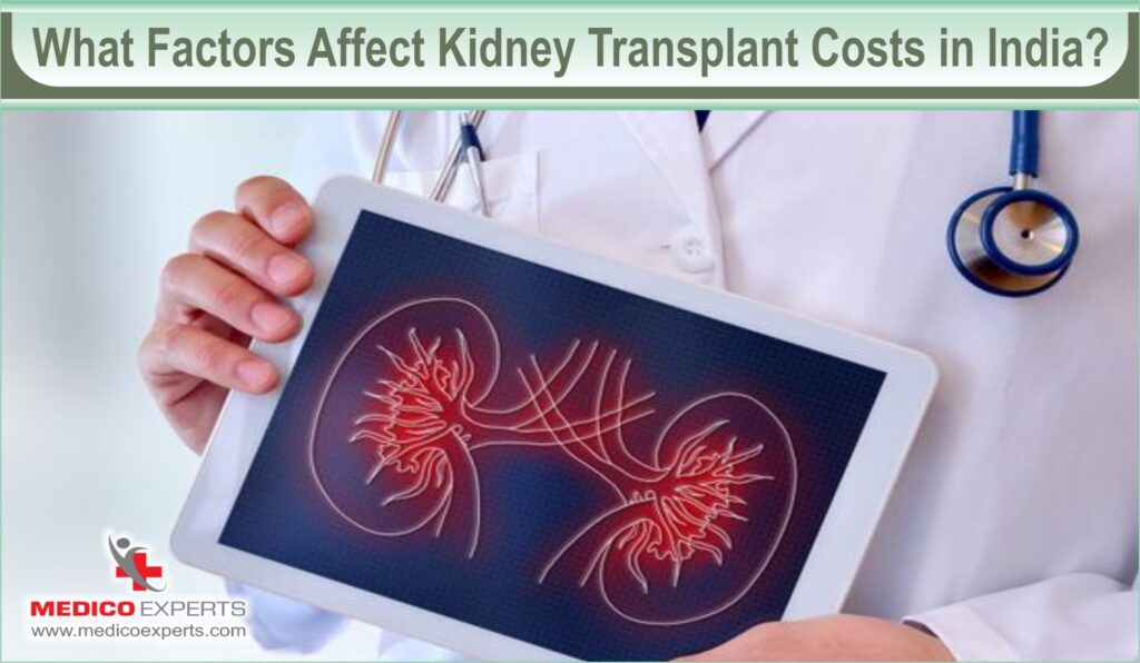 What factors affect kidney transplant costs in India?