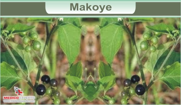 Makoye