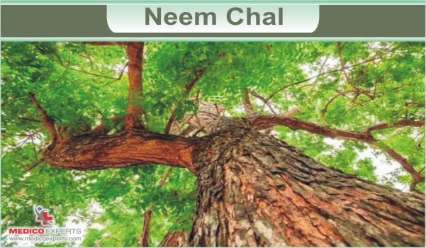 Neem Chal