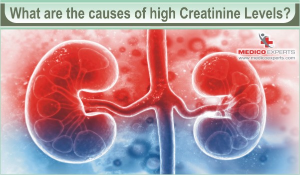 What are the causes of high creatinine levels?