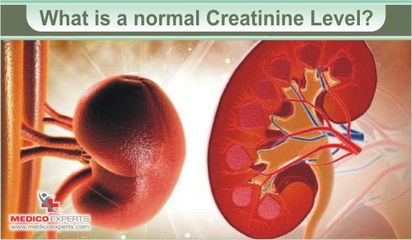What are the symptoms of high creatinine levels?