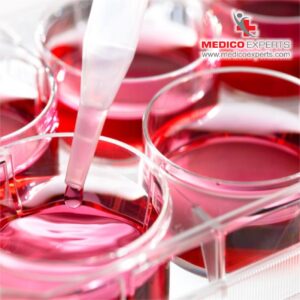 What are regenerative medicines?