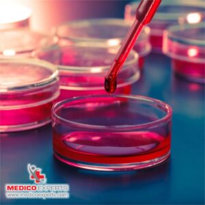 What does stem cell therapy help you with?