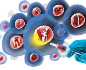 stem cell therapy in india, What is Stem cell Therapy?