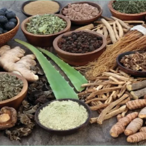 7 Best Ayurvedic Medicines for Premature Ejaculation and Erectile Dysfunction