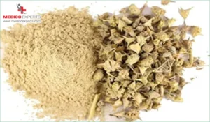 Gokharu Powder for Premature Ejaculation and Erectile Dysfunction