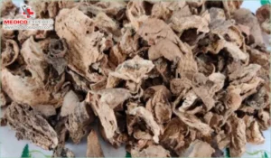 Vidarikand for Premature Ejaculation and Erectile Dysfunction