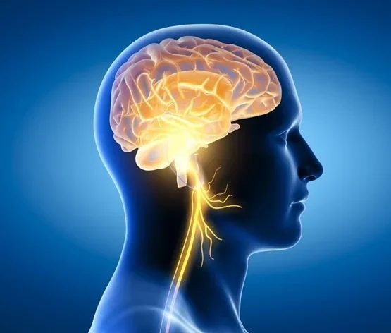 diagnosis of autism new diagnosis of autism